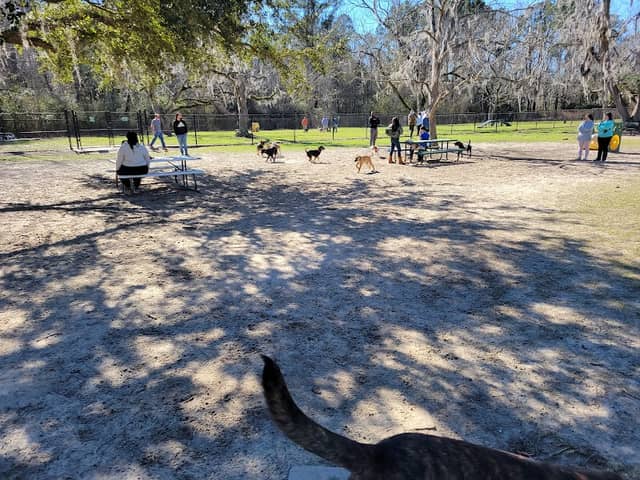 Freedom Park Dog Park - Image 2
