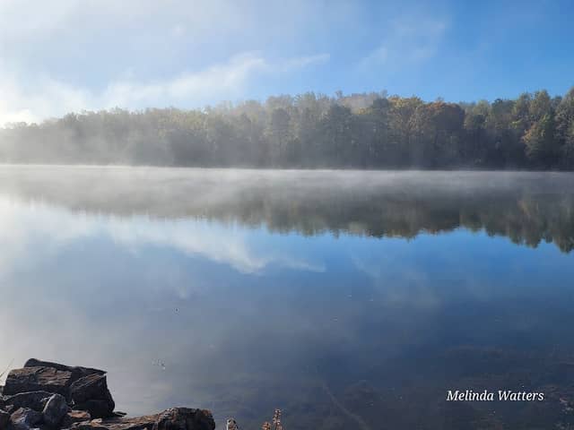 Gibbs Ferry Park - Image 1
