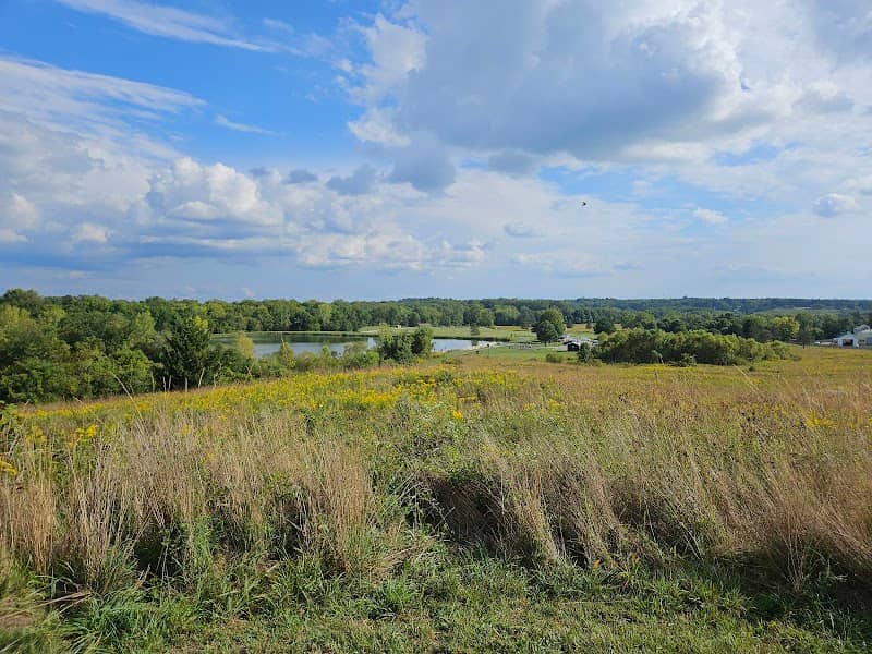 Infirmary Mound Park - Image 1