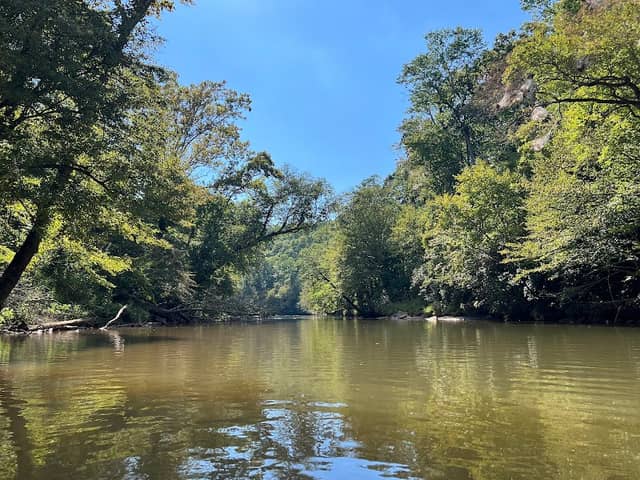 Chestatee River Adventures - Image 2