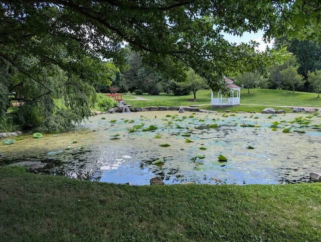 Japanese Garden - Image 1