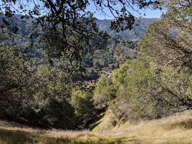 Loma Verde Preserve - Image 3