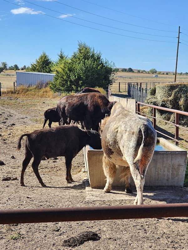 Frontier Historical Park - Image 2