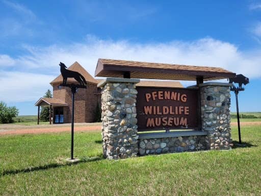 Pfennig Wildlife Museum - Image 2