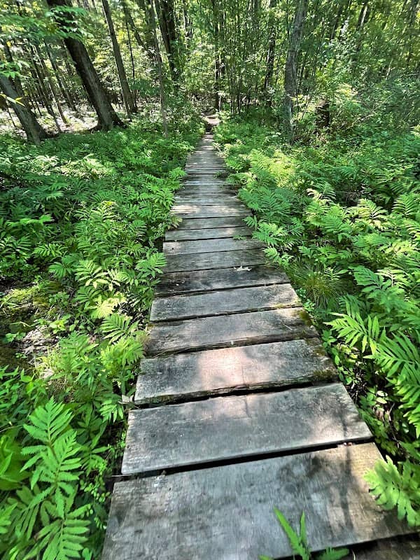 Henry Gerber Reist Bird Sanctuary - Image 2