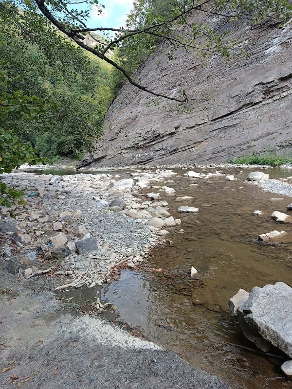 Plaja Putnei - Image 1