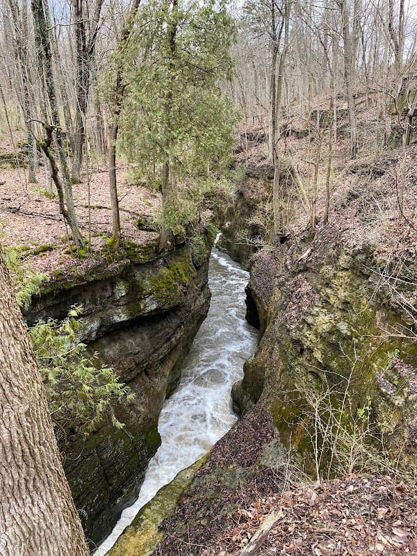 Clifton Gorge State Nature Preserve - Image 3