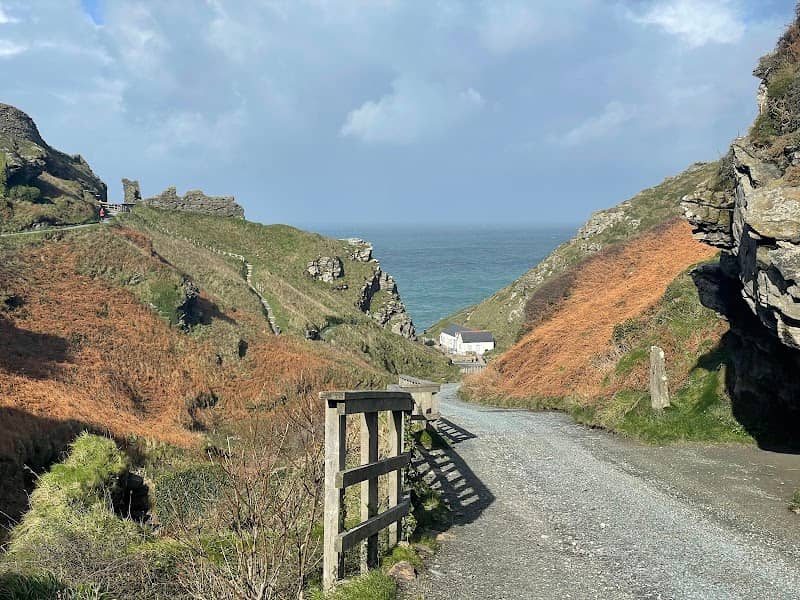 National Trust - Glebe Cliff - Image 3