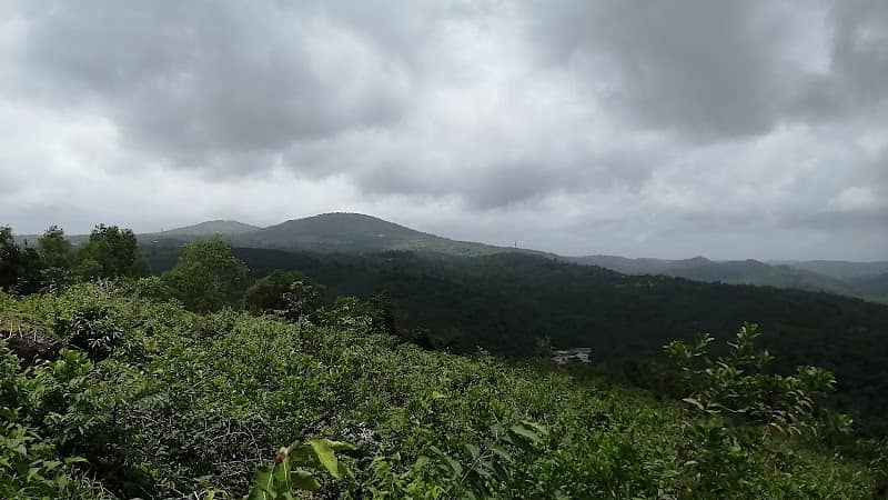 Maniyampara view point - Image 1