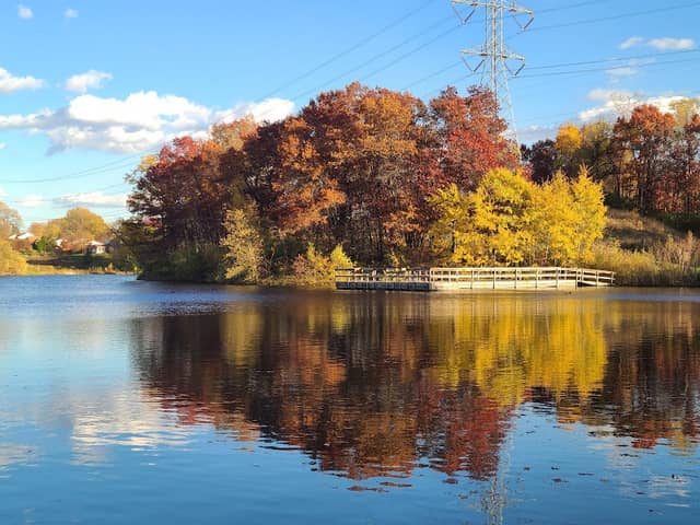 Trapp Farm Park - Image 2