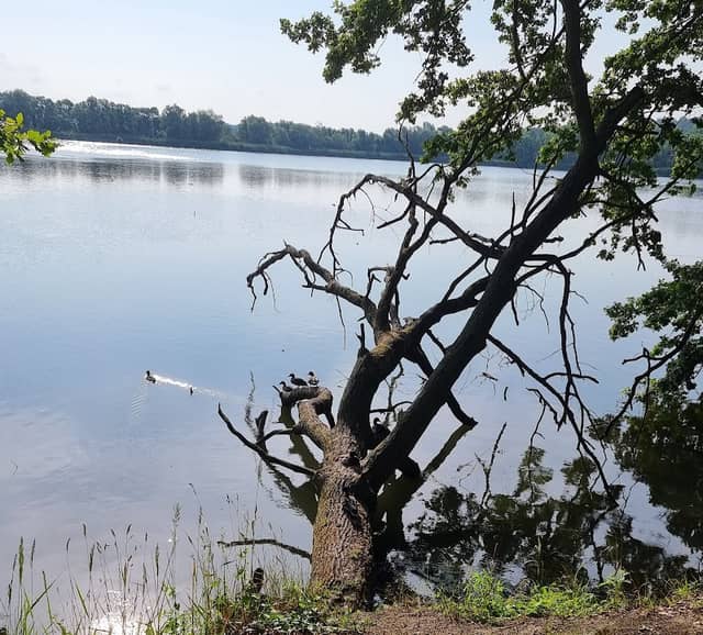 Kohlenbergteich - Image 1