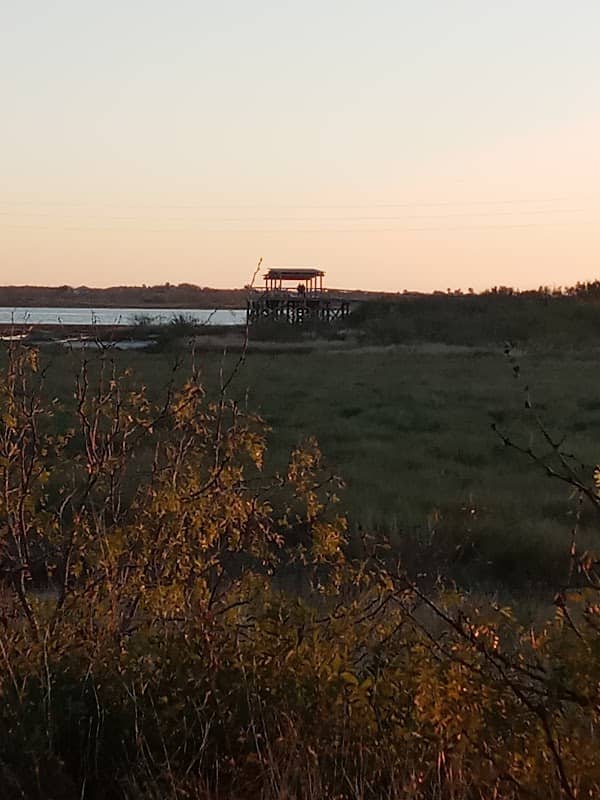 Osprey Overlook - Image 2