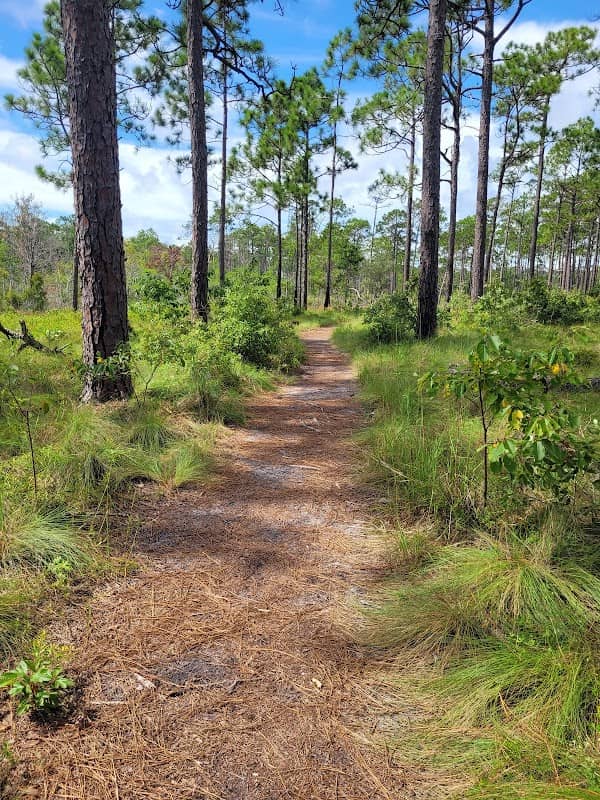 Patsy Pond Nature Trail - Image 1