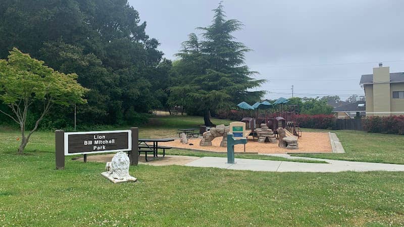 Lion Bill Mitchell Park - Image 1