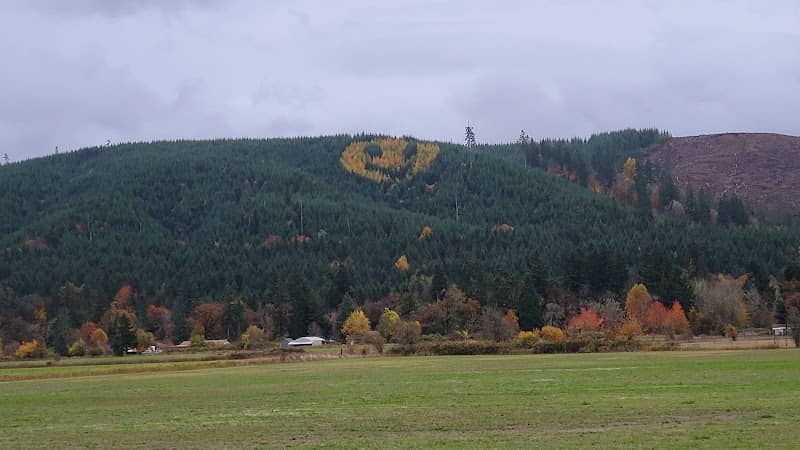 Smiley Face Hill - Image 1