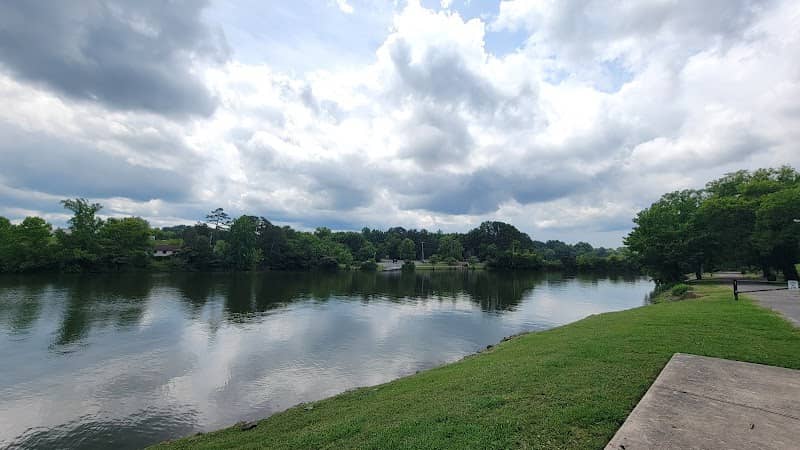 Singleton Park - Image 2