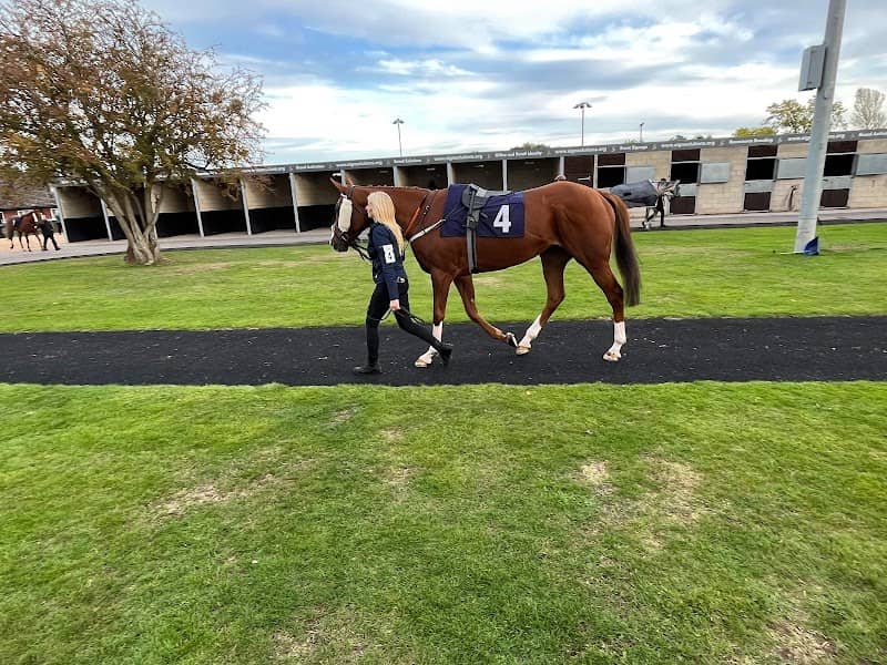 Southwell Racecourse - Image 1