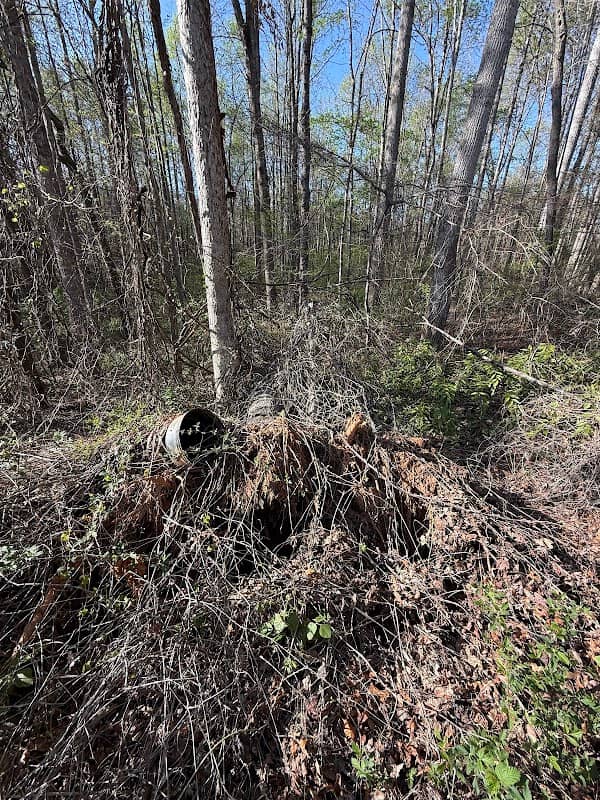George Hutchins Trail - Image 3