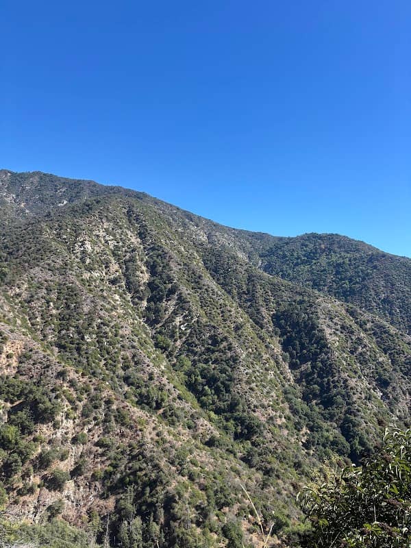 Santa Anita Canyon - Image 2
