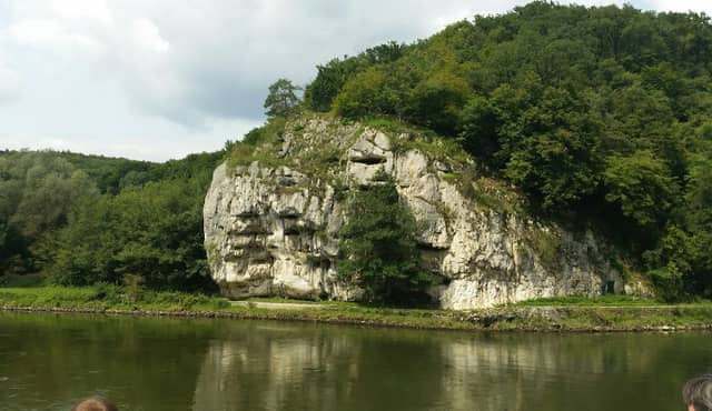 Biber's Werk - Image 1