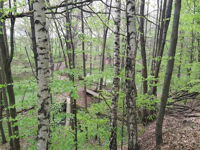 Platforma widokowa - Image 1