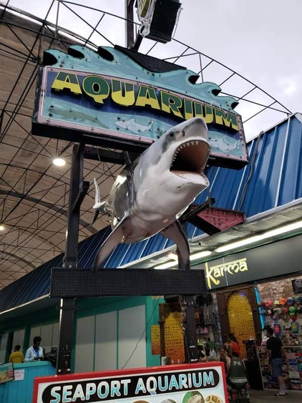 Seaport Aquarium - Image 2
