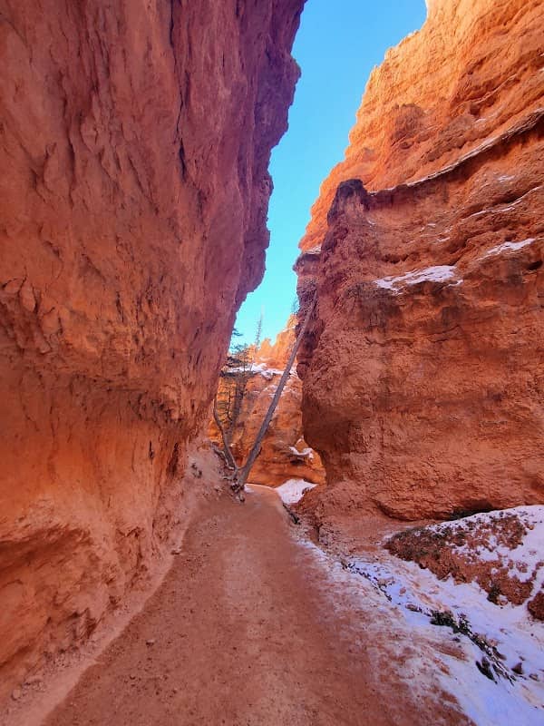 Peekaboo Loop, Hat Shop, And Under-The-Rim Trail Trailhead - Image 2