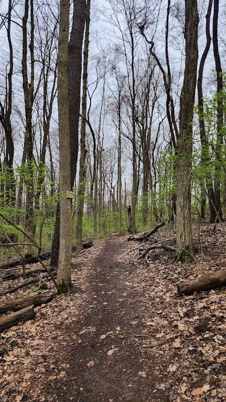 John Bryan State Park Storybook Trail - Image 1