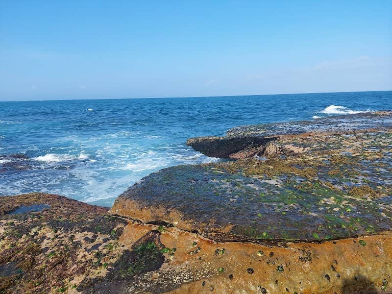Dee Why Point Dee Why 2099 - Image 1
