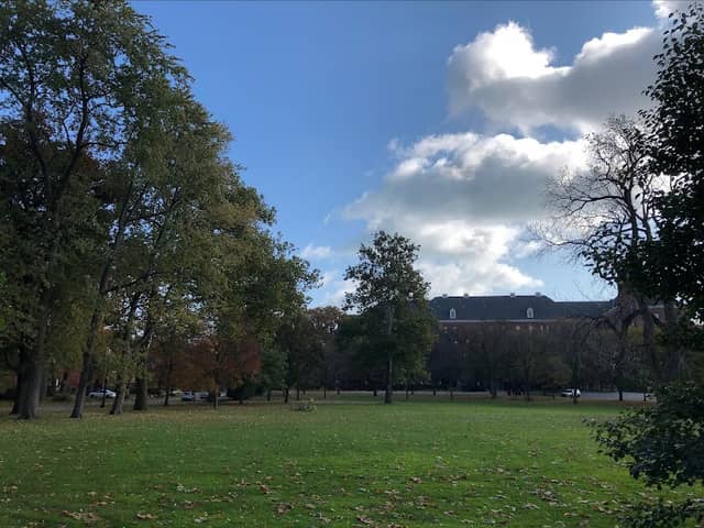 Ingraham Park - Image 1