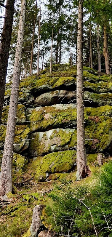 Kletterfelsen beim Neuen Wiesenhaus - Image 1