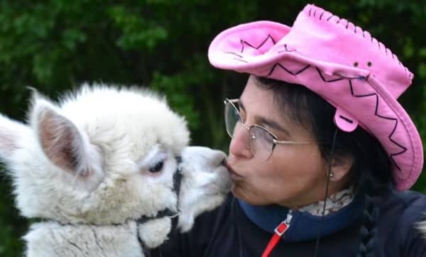 Czarodziejskie miejsce. Alpaki w Bożnowie. Agnes-Trans, Agnieszka Krycka - Image 1