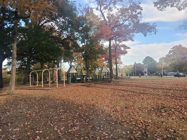 Altermatt Park - Image 2