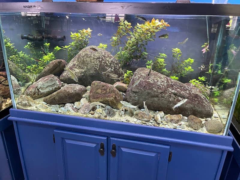 Glen Echo Park Aquarium - Image 3