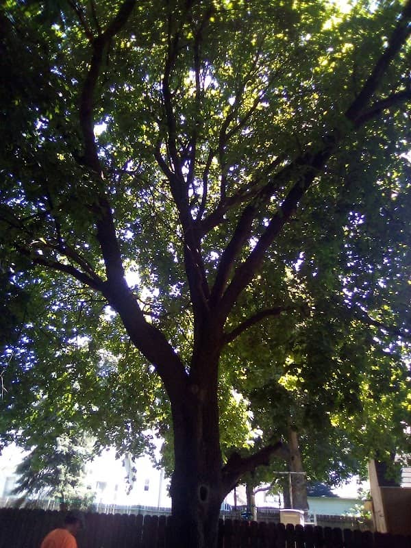 Friendship Park - Image 2