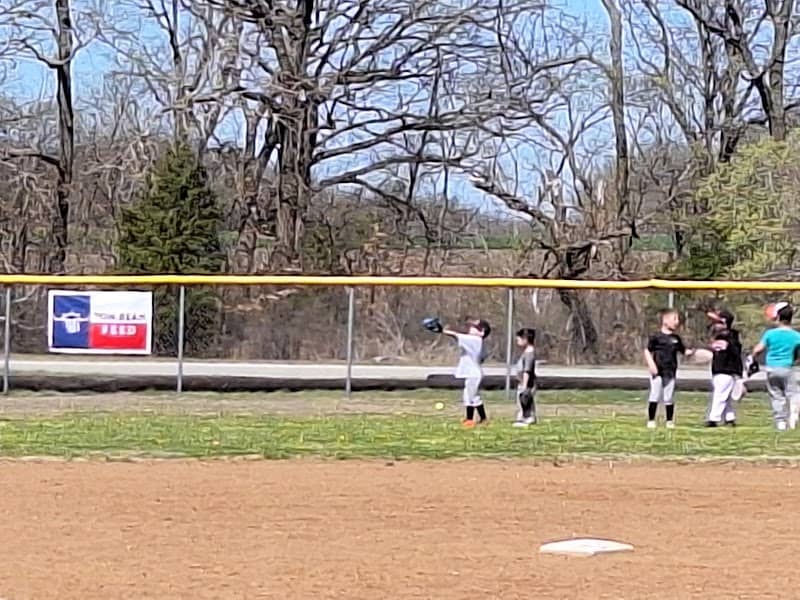 Tom Bean Youth Baseball/Softball Fields - Image 1
