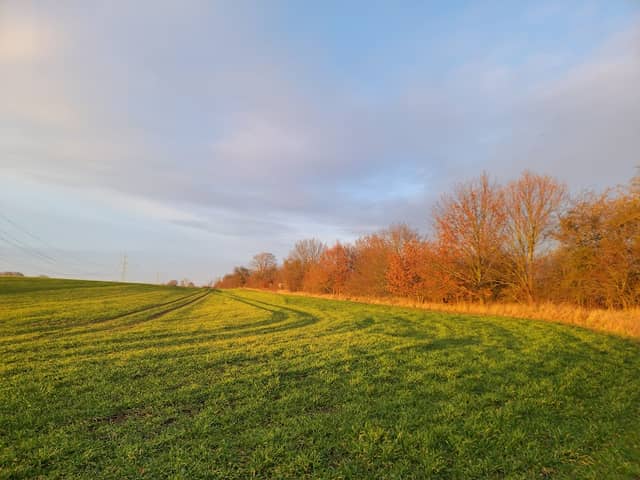 Rundweg Löhmer Haussee - Image 1