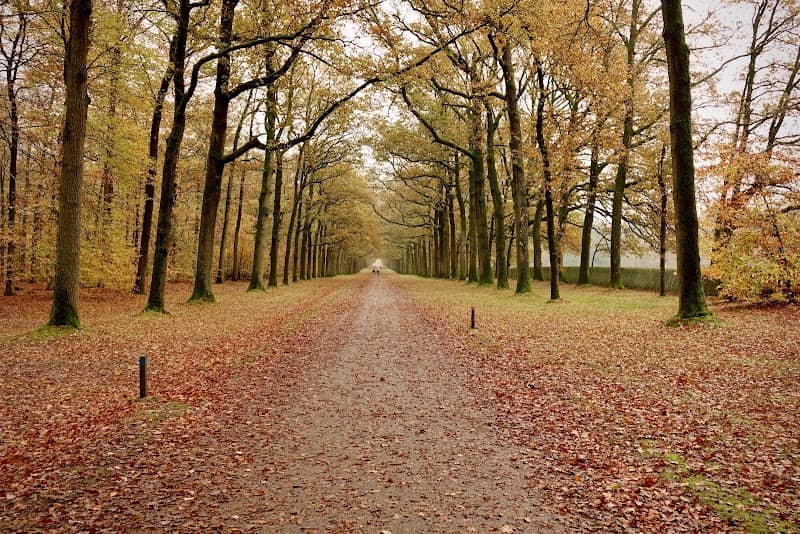 Paleispark Kroondomein Het Loo - Image 3