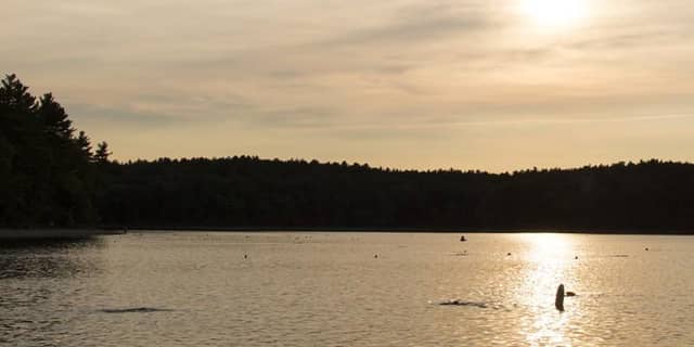 Hampton Ponds State Park - Image 1