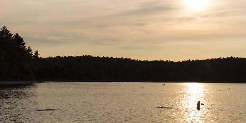 Hampton Ponds State Park - Image 1
