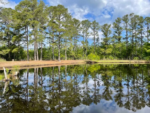 Poyner's Road Park - Image 1
