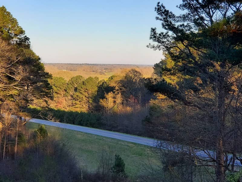 Twentymile Bottom Overlook - Image 2