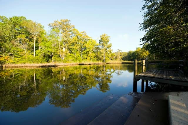 Powhatan Creek Park and Blueway - Image 2