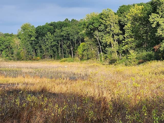 Boot Lake Nature Preserve - Image 2