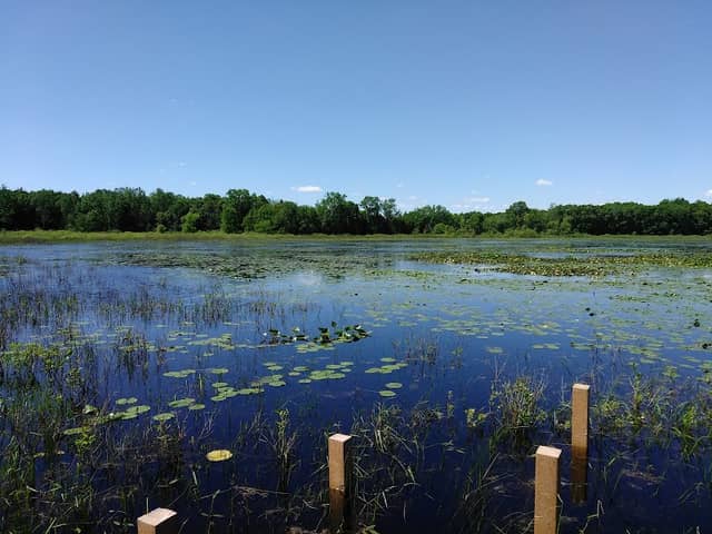 Boot Lake Nature Preserve - Image 1