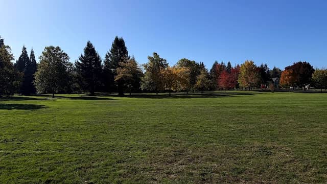 North Albany Park - Image 1