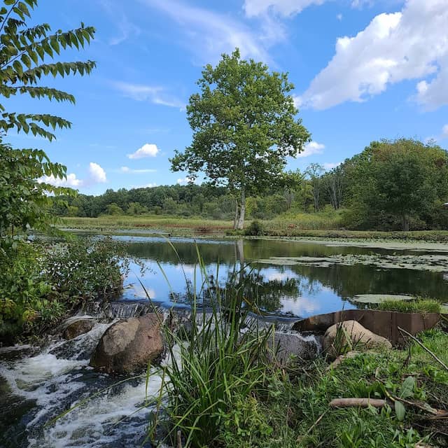 Red Mill County Park - Image 1