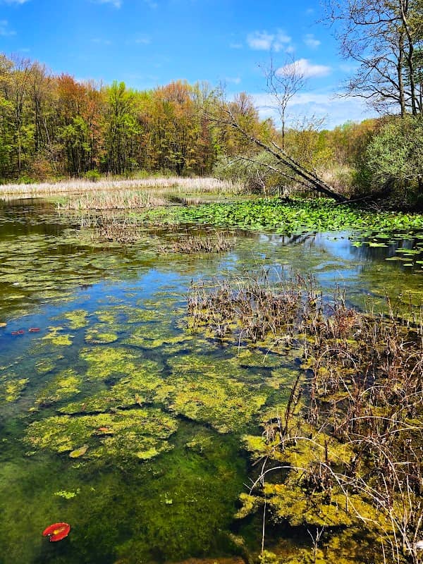 Red Mill County Park - Image 2