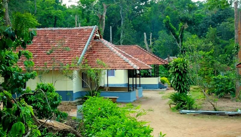 Coorg Wildlife Stay - Image 2