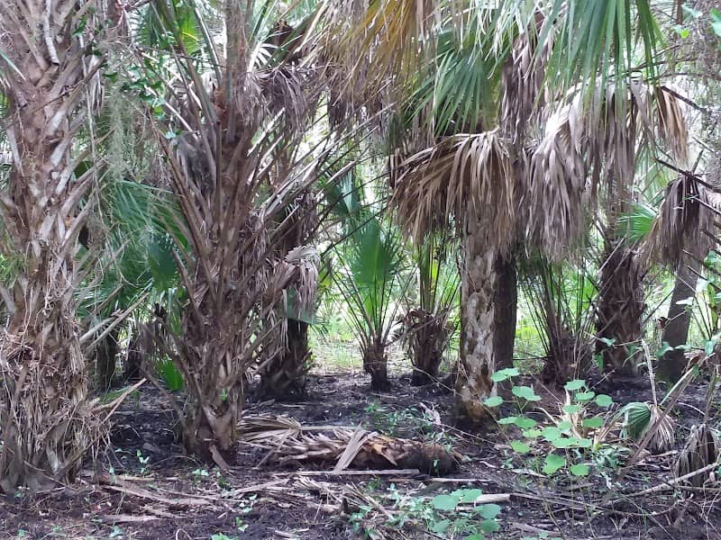 Charlotte Harbor Preserve Nature Walk - Image 1